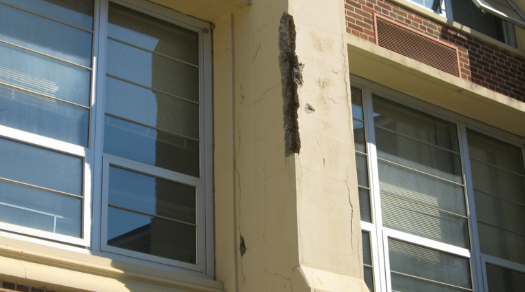 Structural Distress-Column